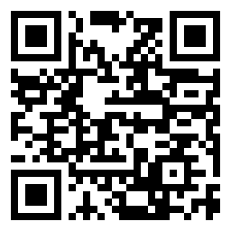 QR Code L - Primaria VIILE SATU MARE