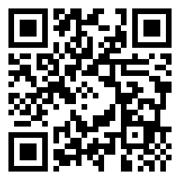 QR Code L - Primaria SĂLCIILE